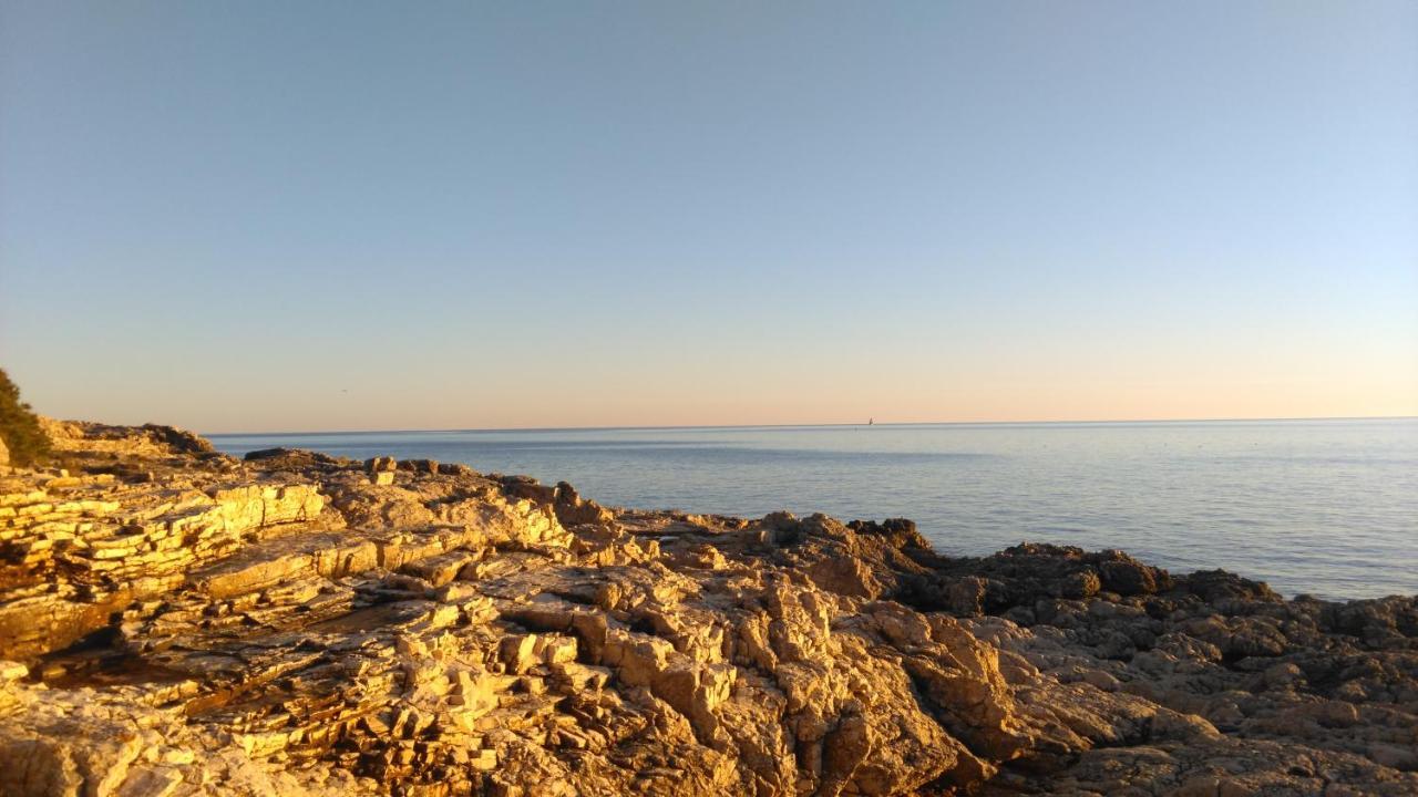 Lair By The Sea - Stoja, Pula Daire Dış mekan fotoğraf